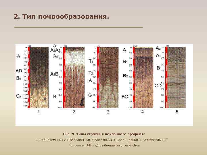2. Тип почвообразования. Рис. 9. Типы строения почвенного профиля: 1. Черноземный; 2. Подзолистый; 3.