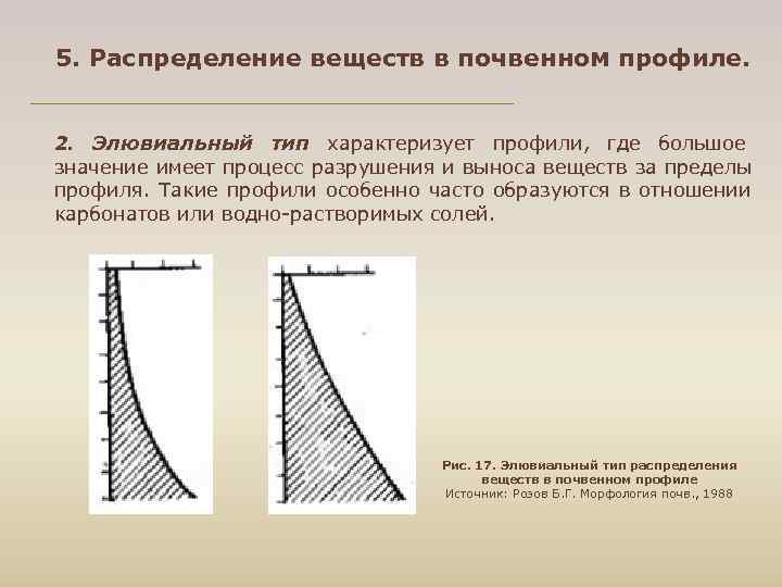 5. Распределение веществ в почвенном профиле. 2. Элювиальный тип характеризует профили, где большое значение