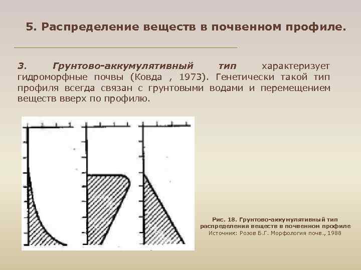  5. Распределение веществ в почвенном профиле. 3. Грунтово аккумулятивный тип характеризует гидроморфные почвы