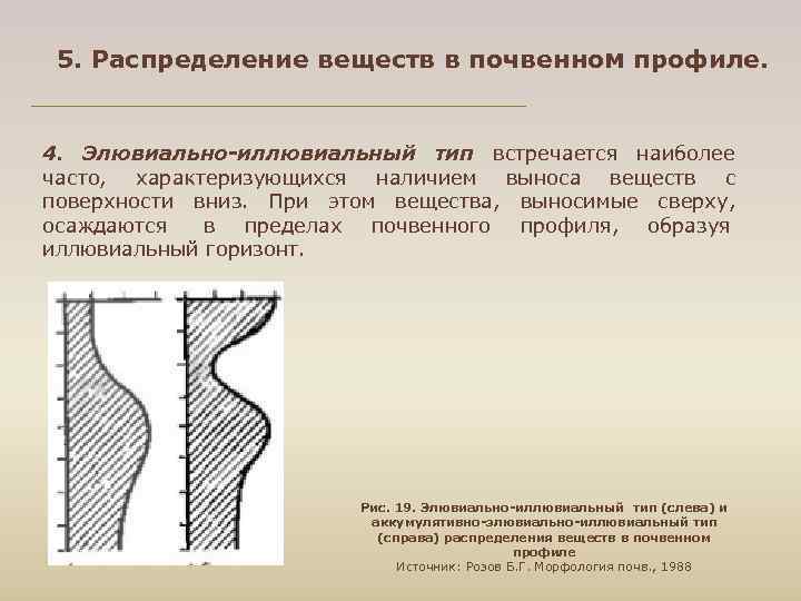  5. Распределение веществ в почвенном профиле. 4. Элювиально иллювиальный тип встречается наиболее часто,