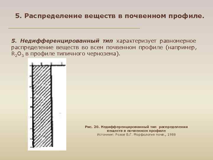  5. Распределение веществ в почвенном профиле. 5. Недифференцированный тип характеризует равномерное распределение веществ