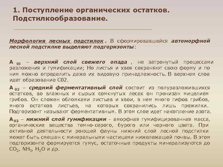  1. Поступление органических остатков. Подстилкообразование. Морфология лесных подстилок. В сформировавшейся автоморфной лесной подстилке