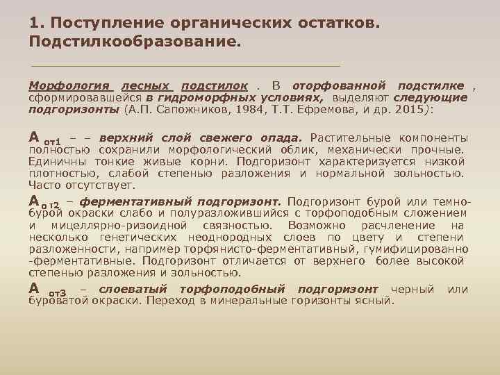 1. Поступление органических остатков. Подстилкообразование. Морфология лесных подстилок. В оторфованной подстилке , сформировавшейся в