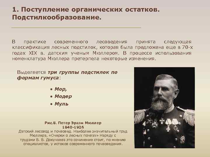 1. Поступление органических остатков. Подстилкообразование. B практике современного лесоведения принята следующая классификация лесных подстилок,