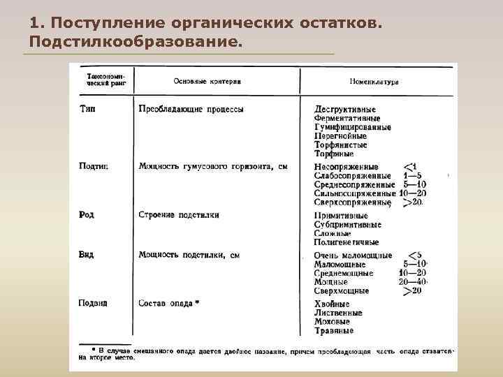 1. Поступление органических остатков. Подстилкообразование. 