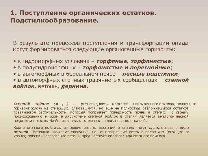 1. Поступление органических остатков. Подстилкообразование. В результате процессов поступления и трансформации опада могут формироваться