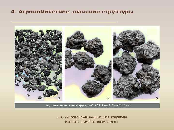 4. Агрономическое значение структуры Рис. 18. Агрономически ценная структура Источник: музей почвоведения. рф 