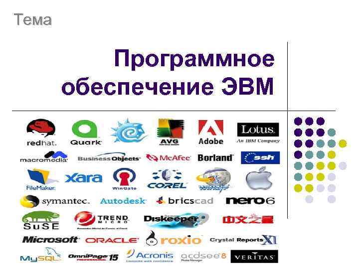 Программное обеспечение эвм. Логотипы производителей ЭВМ.