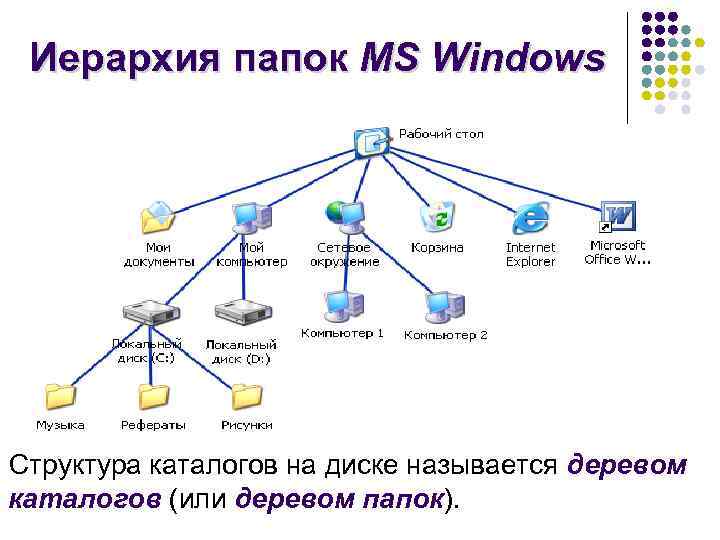  Иерархия папок MS Windows Структура каталогов на диске называется деревом каталогов (или деревом