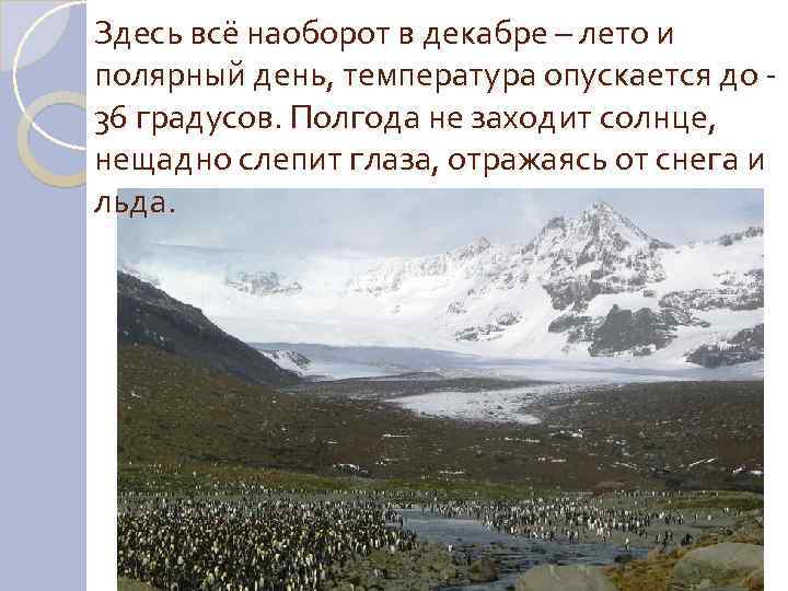 Здесь всё наоборот в декабре – лето и полярный день, температура опускается до -