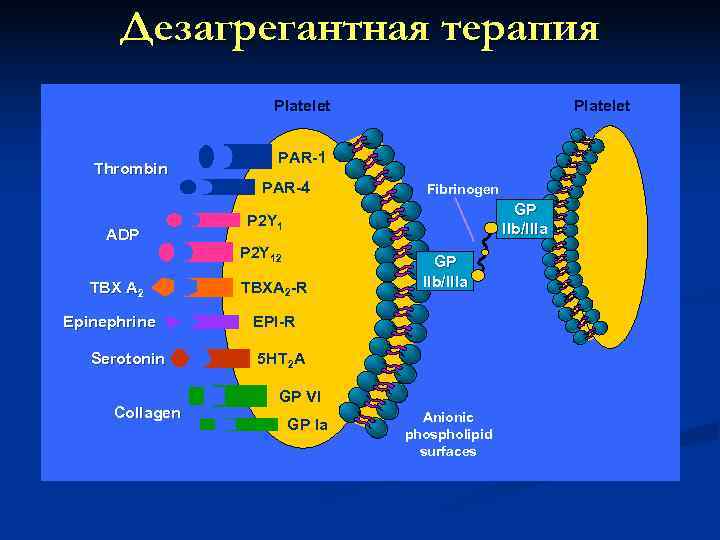  Дезагрегантная терапия Platelet PAR-1 Thrombin PAR-4 Fibrinogen GP P 2 Y 1 ADP