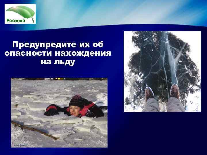 Росинка Предупредите их об опасности нахождения  на льду 