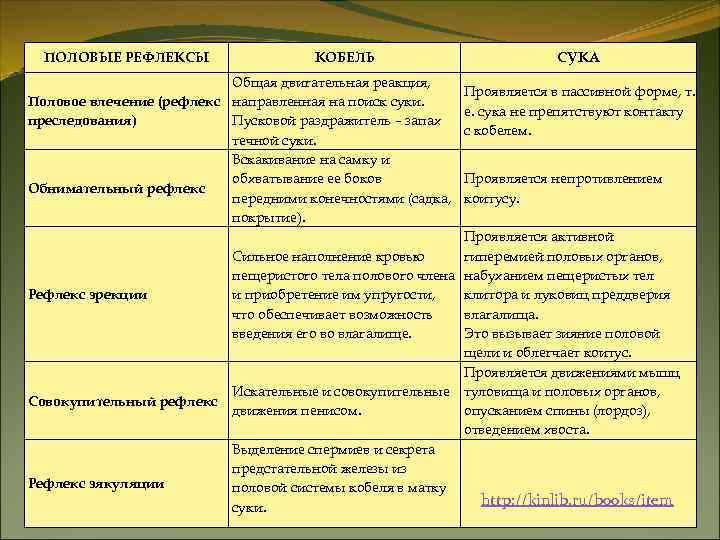 ПОЛОВЫЕ РЕФЛЕКСЫ КОБЕЛЬ СУКА ПОЛОВЫЕ РЕФЛЕКСЫ КОБЕЛЬ СУКА