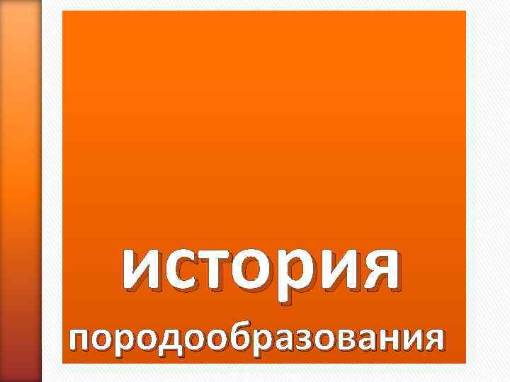  история породообразования 