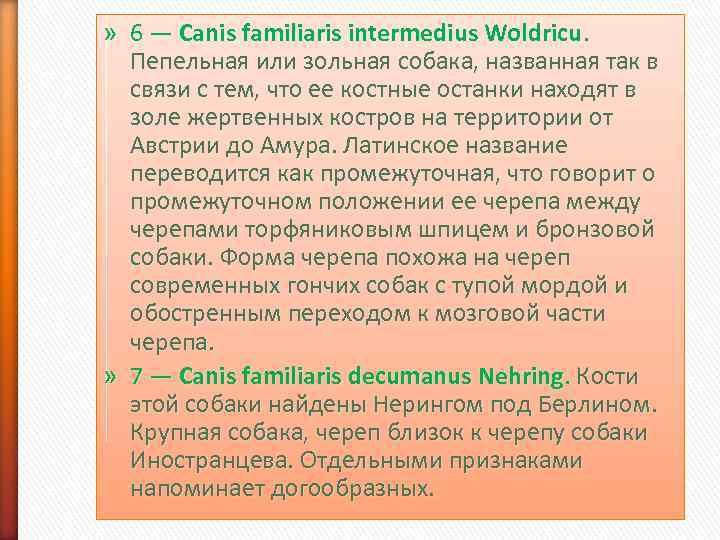 » 6 — Canis familiaris intermedius Woldricu. Пепельная или зольная собака, названная так в