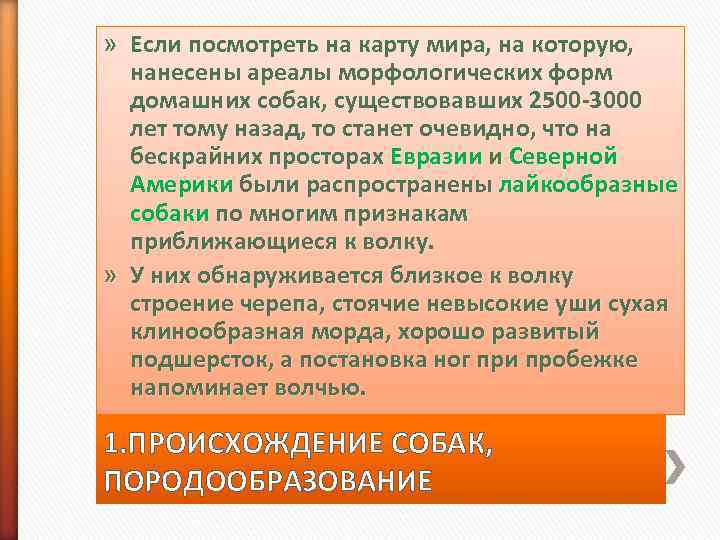 » Если посмотреть на карту мира, на которую, нанесены ареалы морфологических форм  домашних