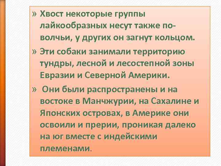 » Хвост некоторые группы  лайкообразных несут также по-  волчьи, у других он