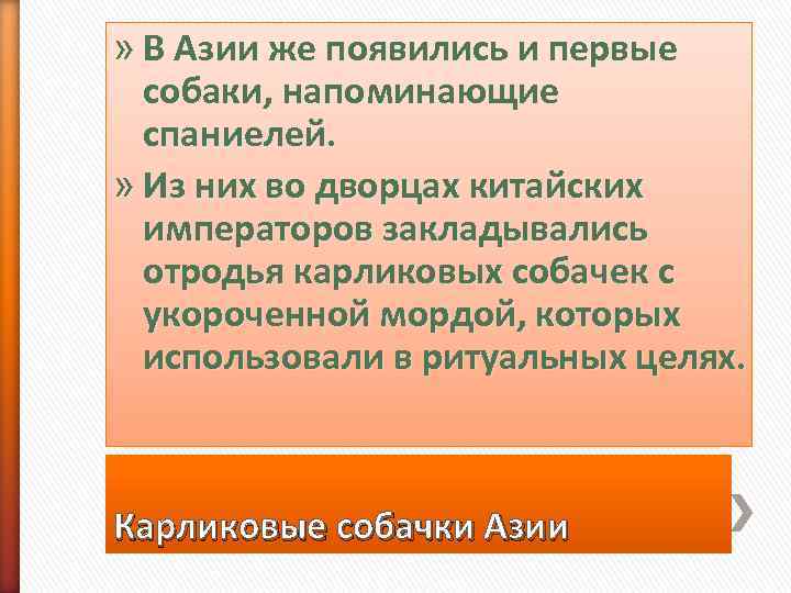 » В Азии же появились и первые  собаки, напоминающие  спаниелей.  »