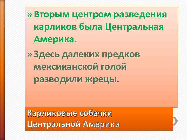 » Вторым центром разведения  карликов была Центральная  Америка.  » Здесь далеких