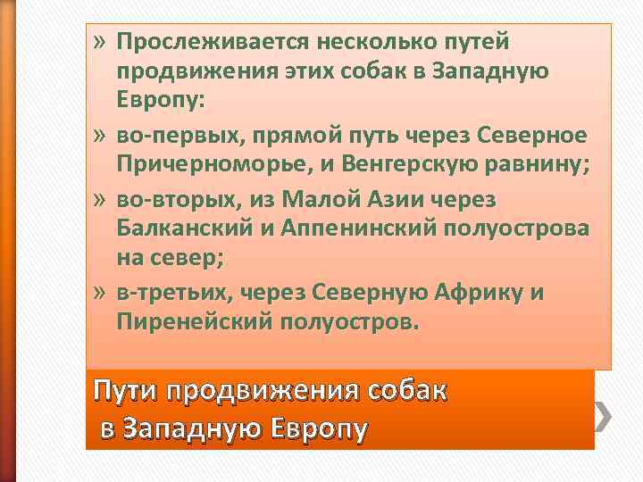 » Прослеживается несколько путей  продвижения этих собак в Западную  Европу:  »
