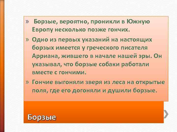 »  Борзые, вероятно, проникли в Южную  Европу несколько позже гончих.  »