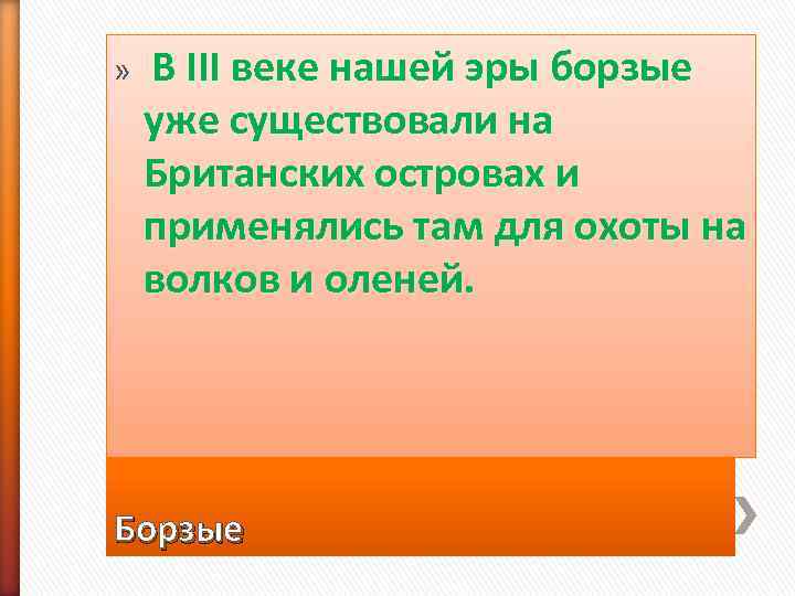 »  В III веке нашей эры борзые  уже существовали на  Британских