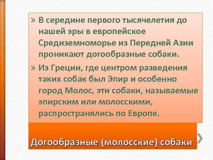 » В середине первого тысячелетия до  нашей эры в европейское  Средиземноморье из
