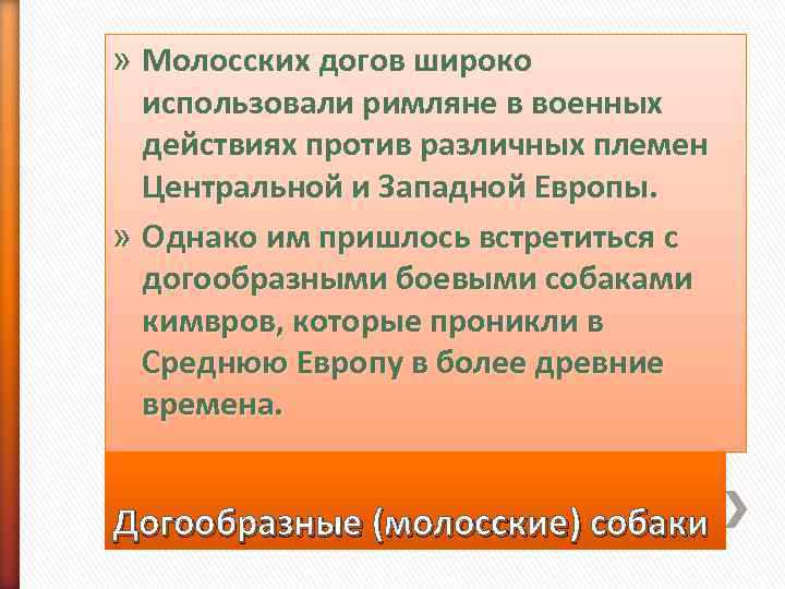 » Молосских догов широко  использовали римляне в военных  действиях против различных племен