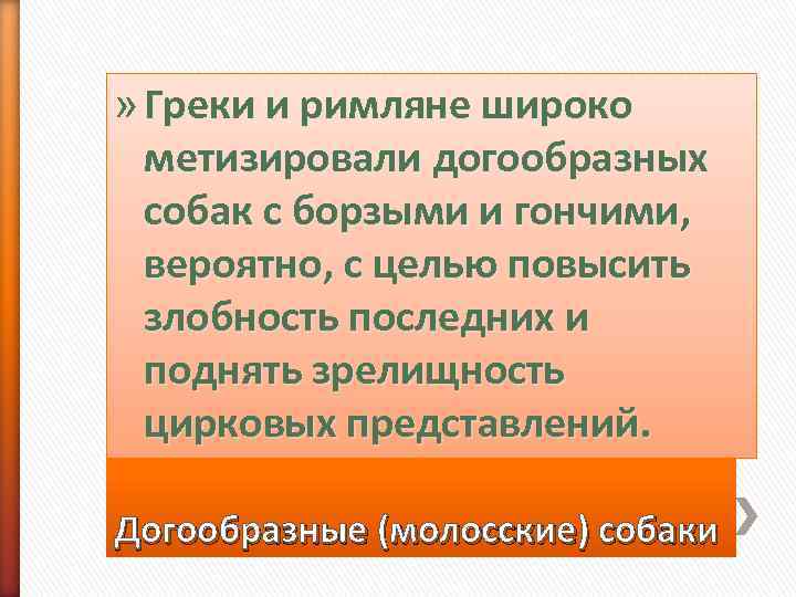» Греки и римляне широко  метизировали догообразных  собак с борзыми и гончими,