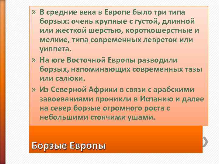 » В средние века в Европе было три типа  борзых: очень крупные с