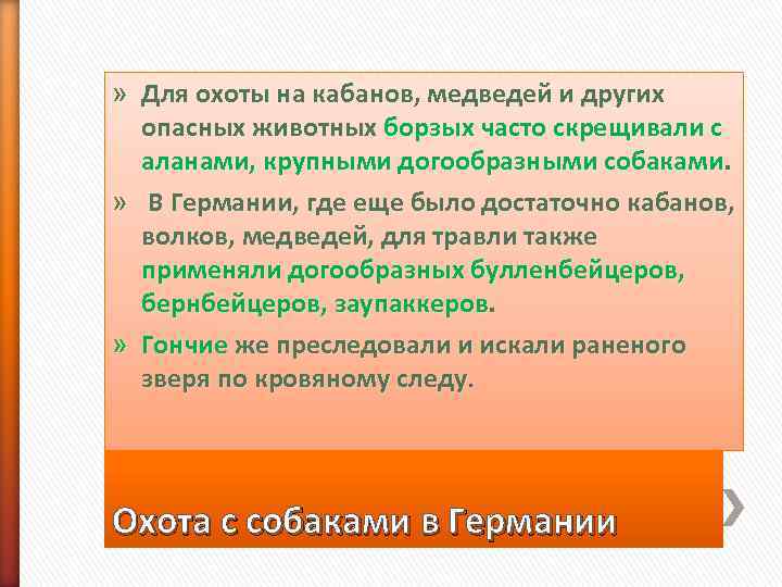 » Для охоты на кабанов, медведей и других  опасных животных борзых часто скрещивали