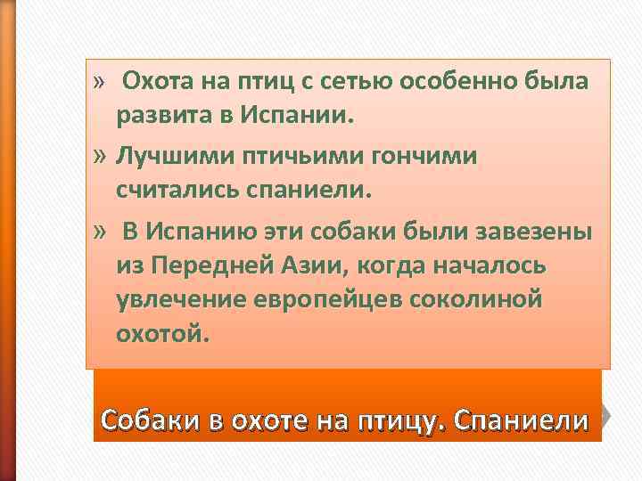 »  Охота на птиц с сетью особенно была  развита в Испании. 