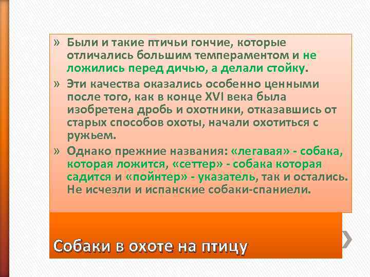 » Были и такие птичьи гончие, которые  отличались большим темпераментом и не 