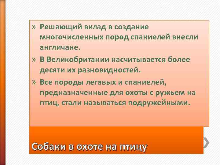» Решающий вклад в создание  многочисленных пород спаниелей внесли  англичане.  »