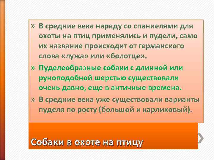 » В средние века наряду со спаниелями для  охоты на птиц применялись и