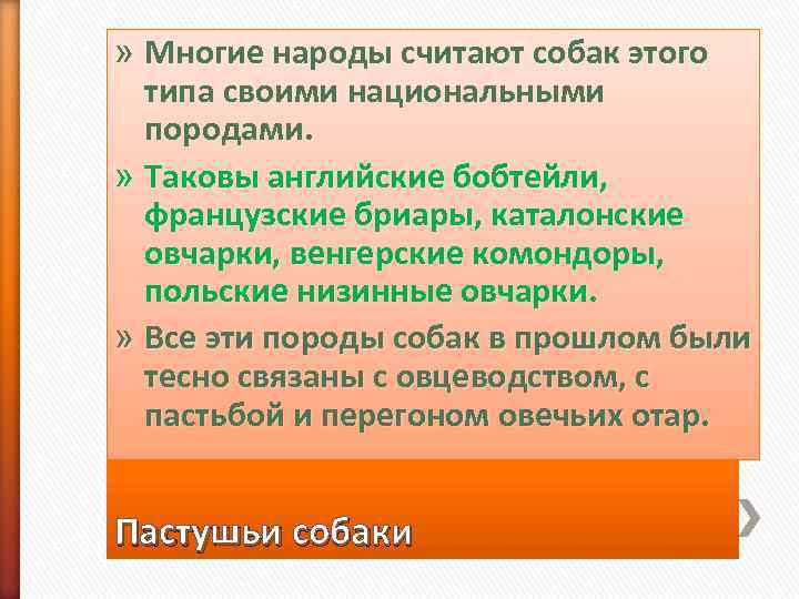» Многие народы считают собак этого  типа своими национальными  породами.  »