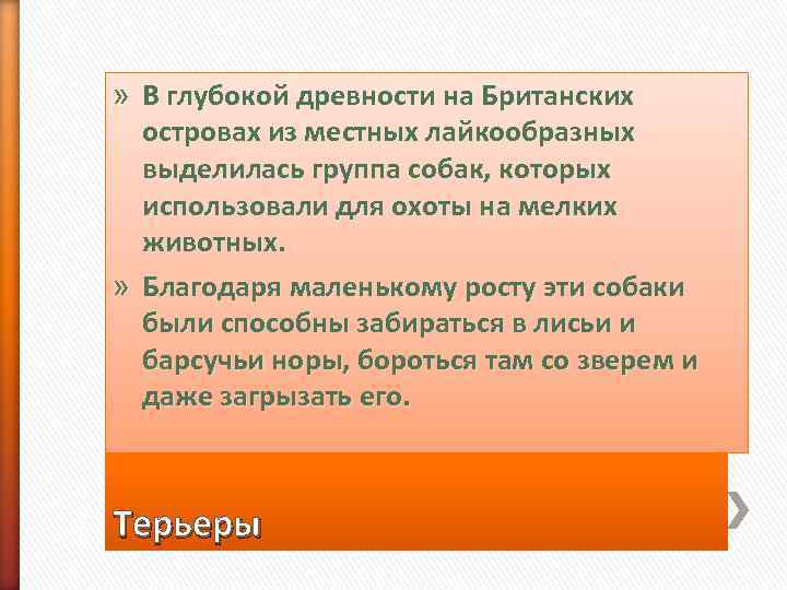 » В глубокой древности на Британских  островах из местных лайкообразных  выделилась группа