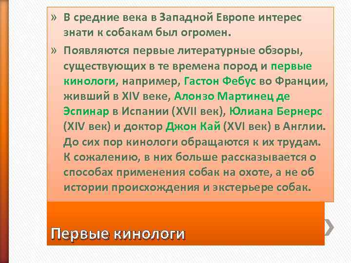 » В средние века в Западной Европе интерес  знати к собакам был огромен.