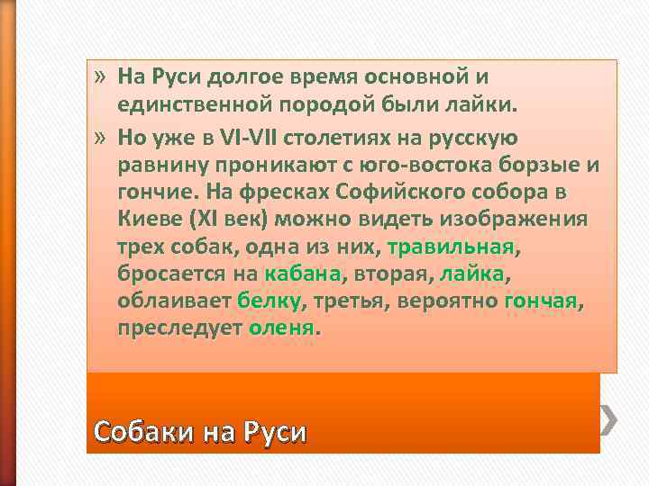 » На Руси долгое время основной и  единственной породой были лайки.  »