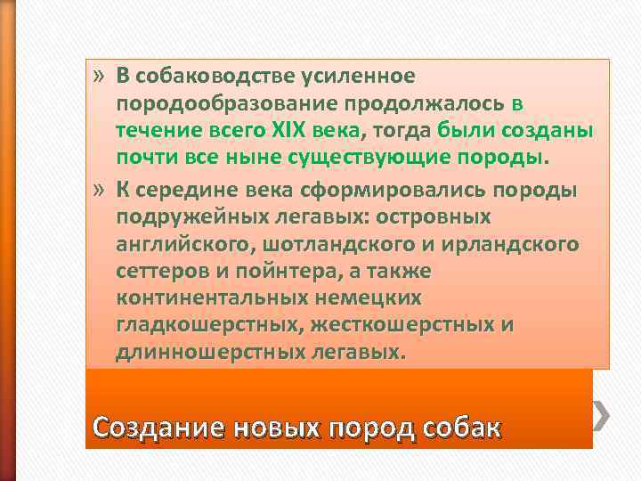 » В собаководстве усиленное  породообразование продолжалось в  течение всего XIX века, тогда