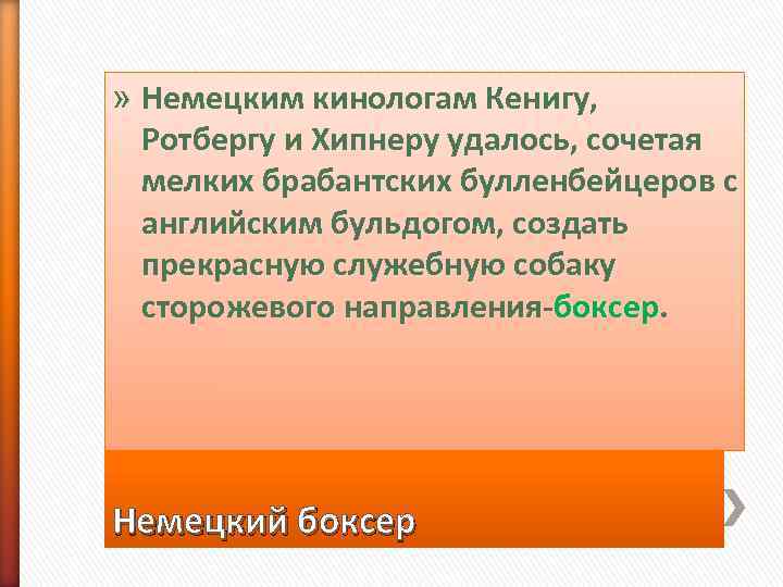 » Немецким кинологам Кенигу, Ротбергу и Хипнеру удалось, сочетая  мелких брабантских булленбейцеров с