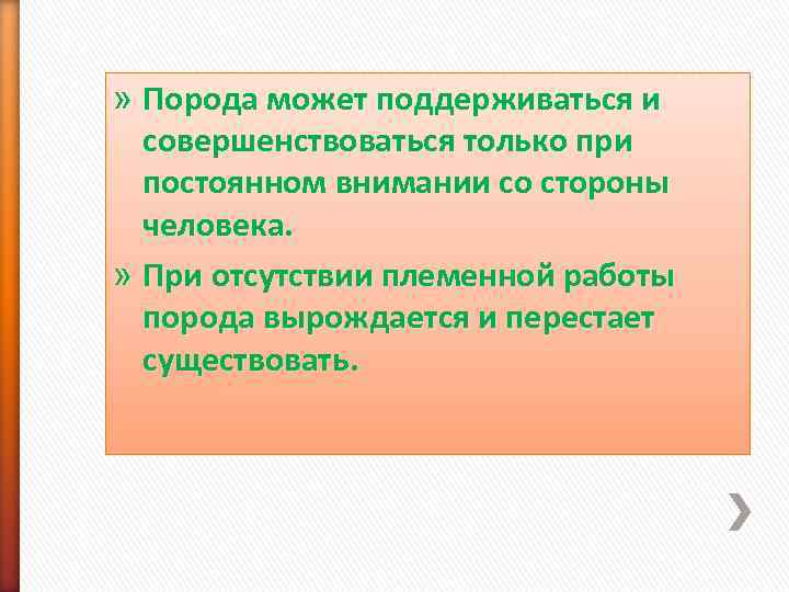 » Порода может поддерживаться и  совершенствоваться только при  постоянном внимании со стороны