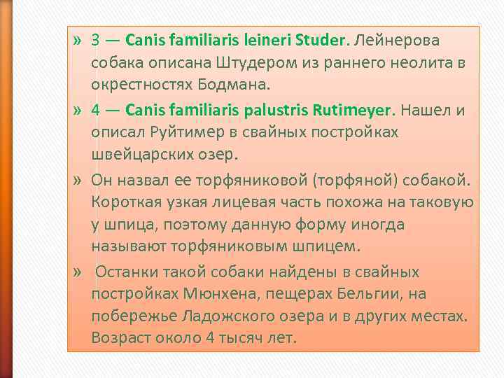 » 3 — Canis familiaris leineri Studer. Лейнерова  собака описана Штудером из раннего