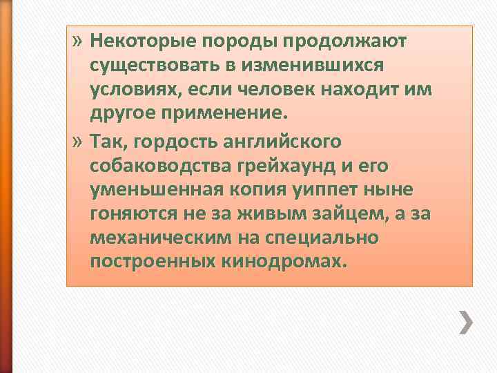 » Некоторые породы продолжают  существовать в изменившихся  условиях, если человек находит им