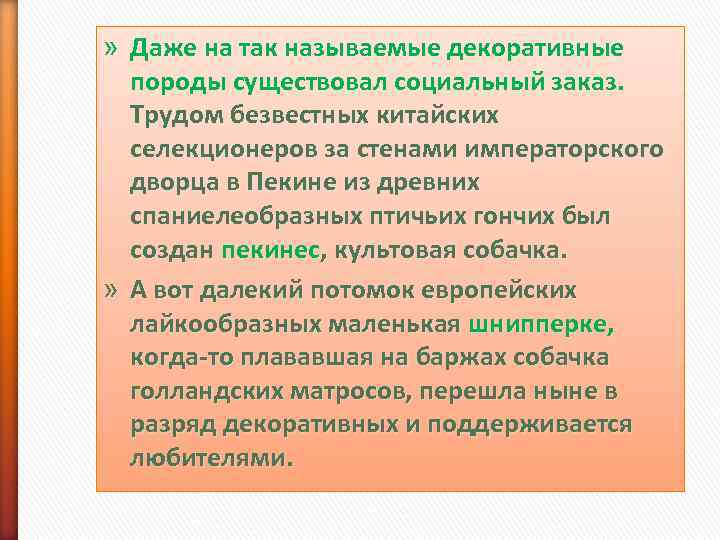 » Даже на так называемые декоративные  породы существовал социальный заказ. Трудом безвестных китайских