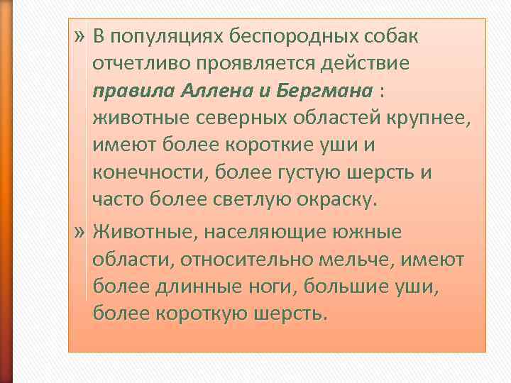 » В популяциях беспородных собак  отчетливо проявляется действие  правила Аллена и Бергмана
