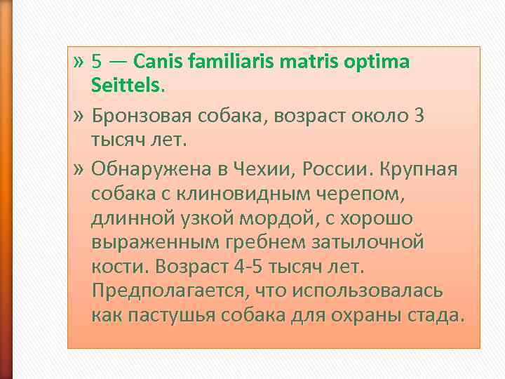 » 5 — Canis familiaris matris optima  Seittels.  » Бронзовая собака, возраст