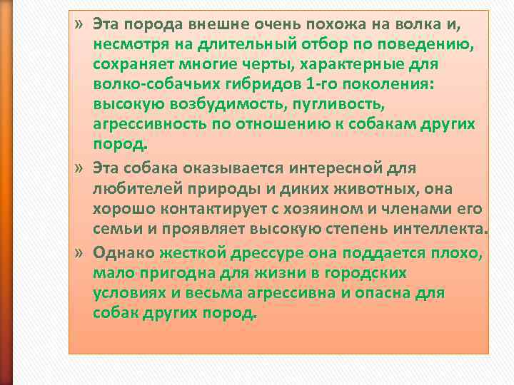» Эта порода внешне очень похожа на волка и, несмотря на длительный отбор по