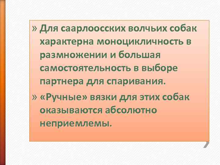 » Для саарлоосских волчьих собак  характерна моноцикличность в  размножении и большая 