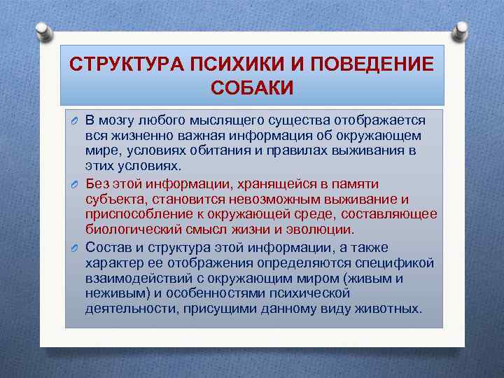 СТРУКТУРА ПСИХИКИ И ПОВЕДЕНИЕ СОБАКИ O В мозгу любого мыслящего существа отображается вся жизненно